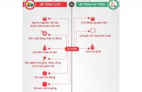 So sánh bê tông tươi & bê tông tự trộn